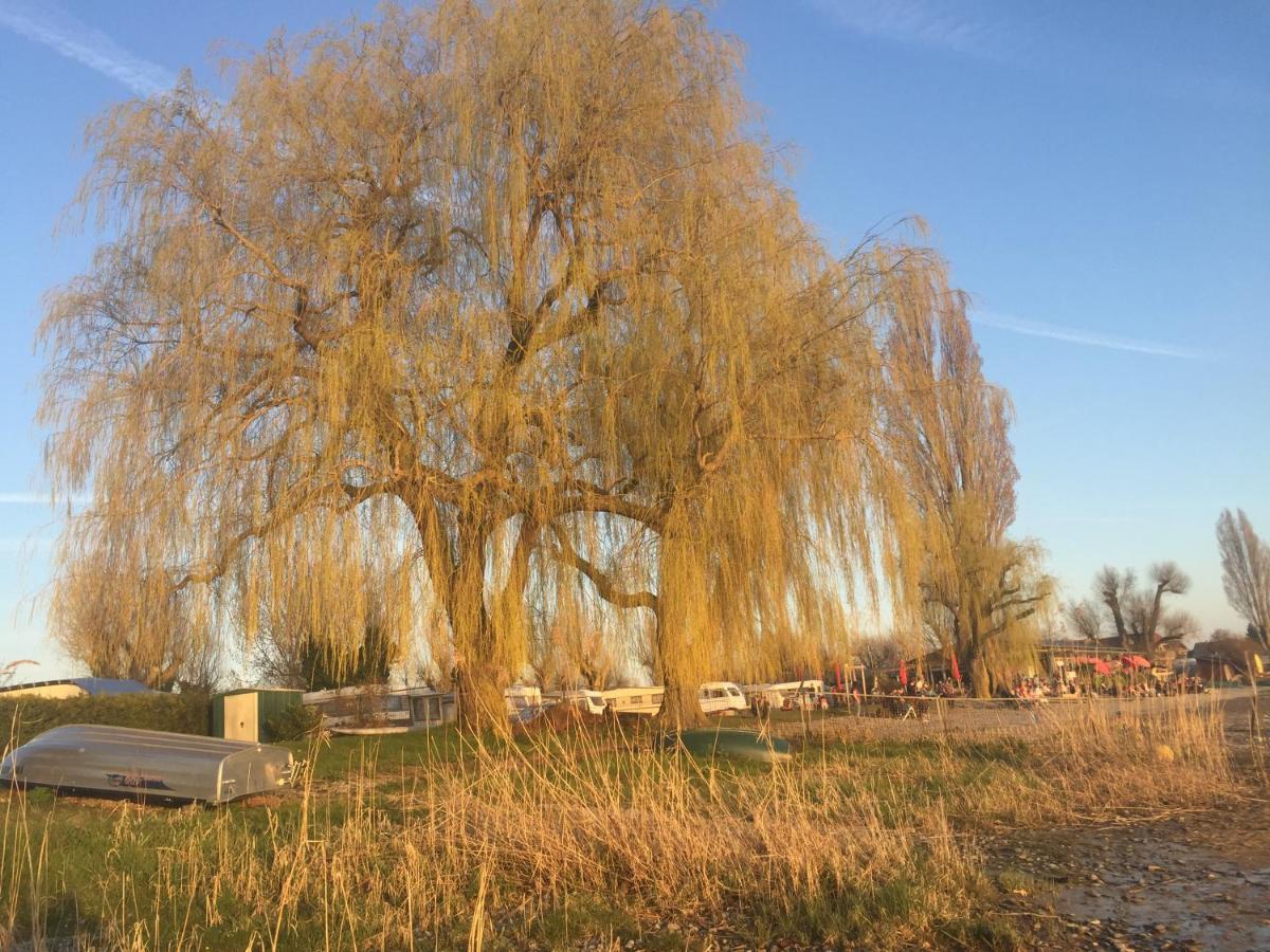 Haus Muensterblick Lägenhet Reichenau Exteriör bild