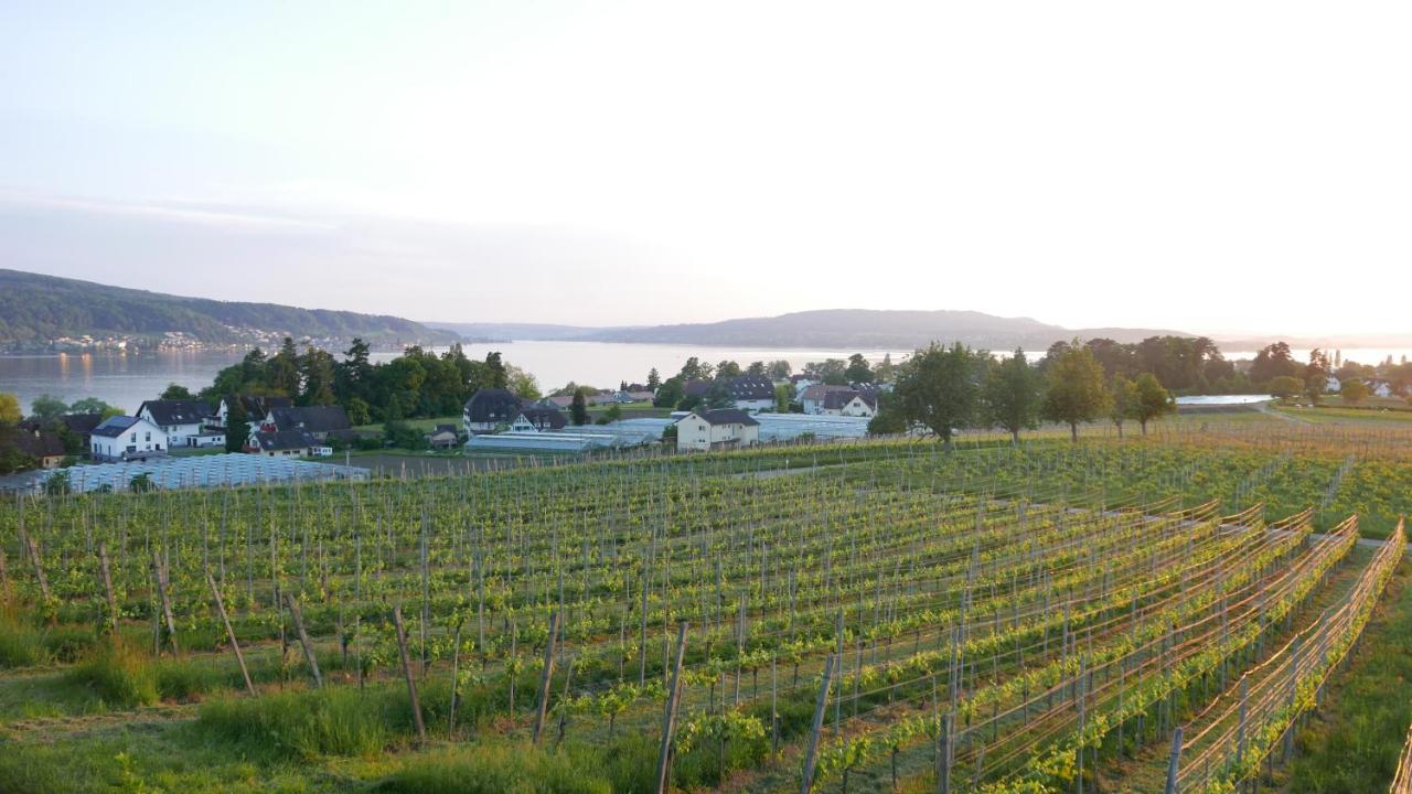 Haus Muensterblick Lägenhet Reichenau Exteriör bild