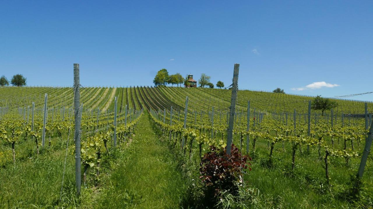 Haus Muensterblick Lägenhet Reichenau Exteriör bild